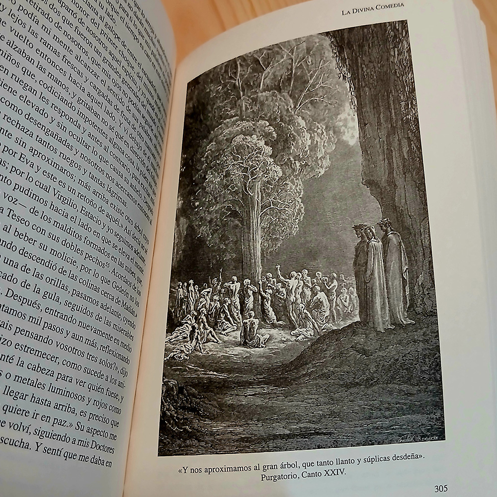 La Divina Comedia 05